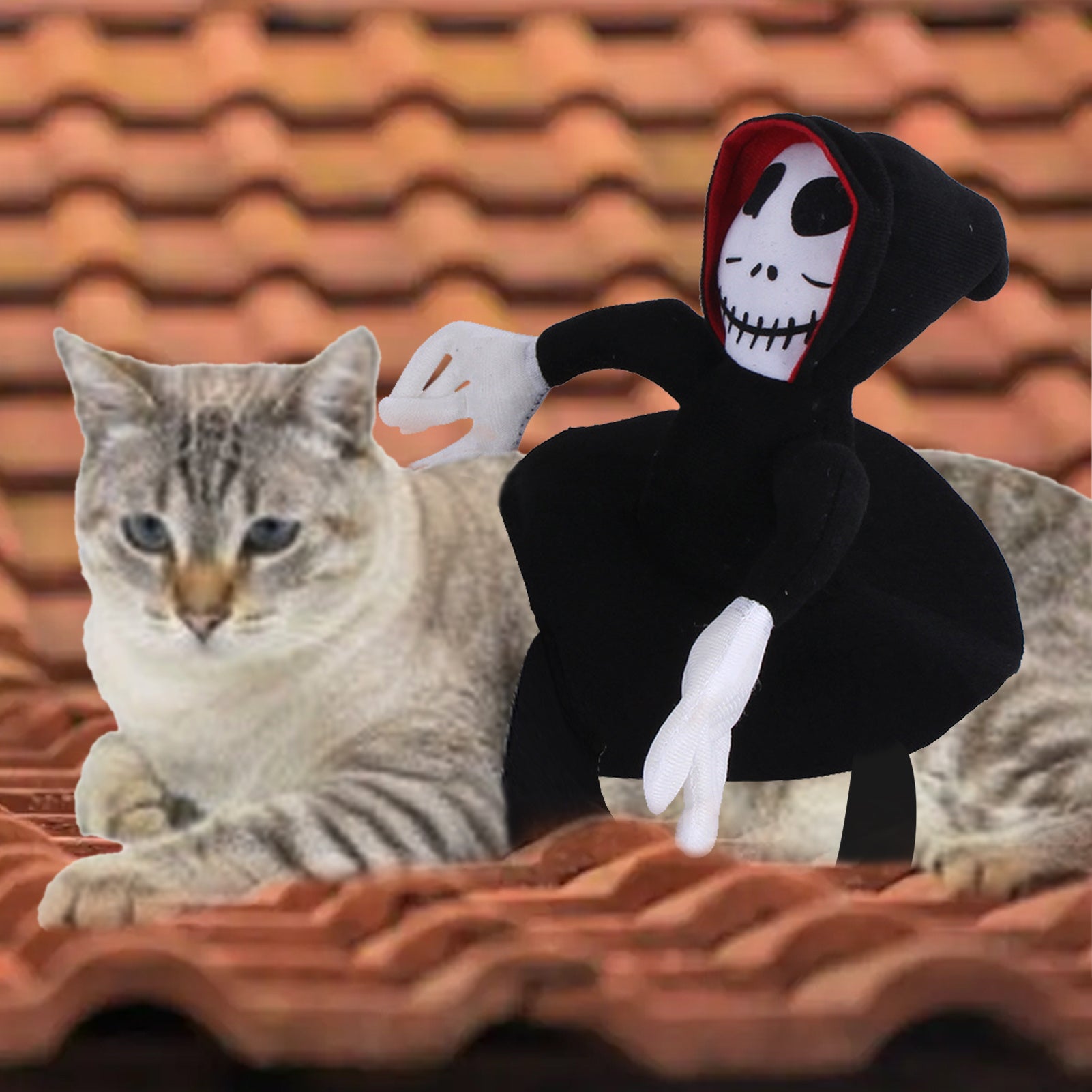 Funny Grim Reaper Pet Costume – Halloween Dog Cosplay Dress-Up