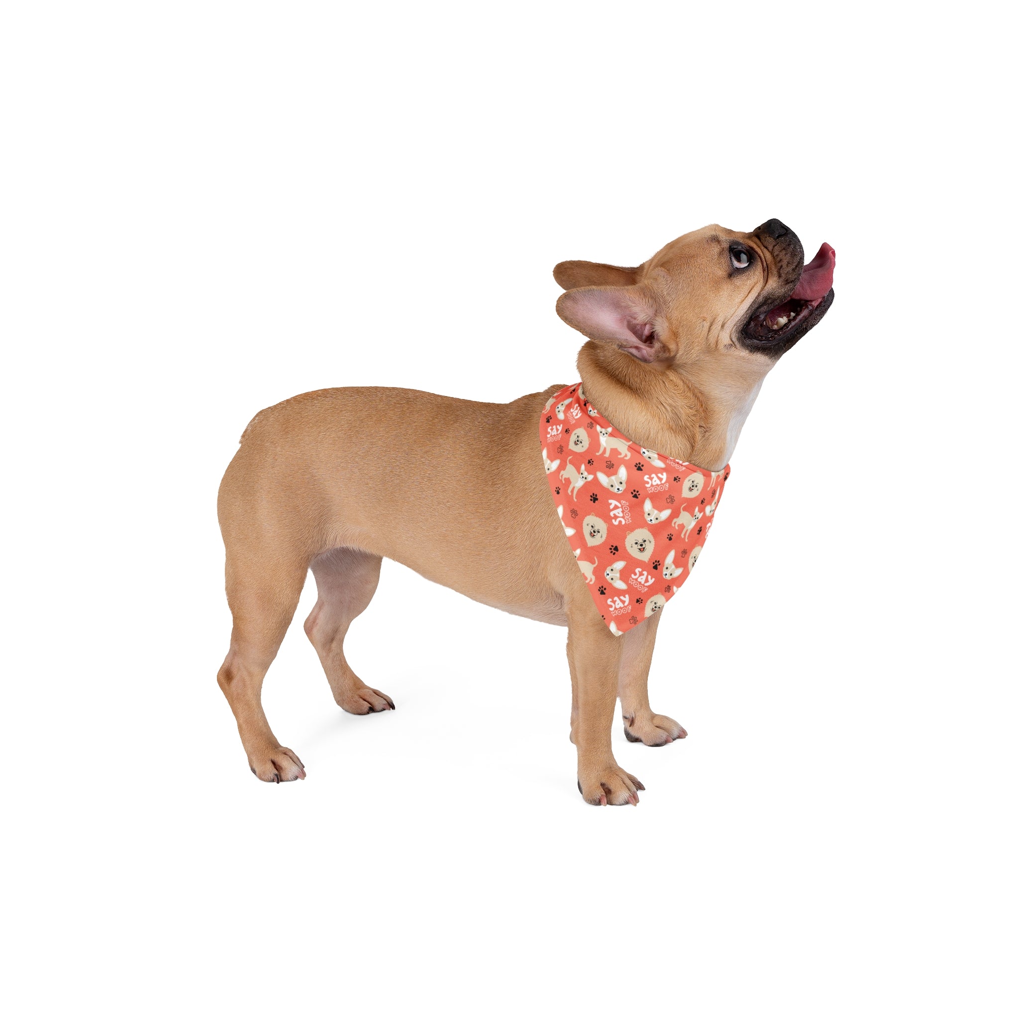 Dog Say Woof Pattern 1 – Perfect for Pet Lovers and Celebrations!