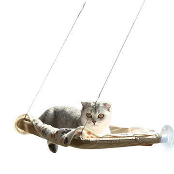 Cat Hammock Window