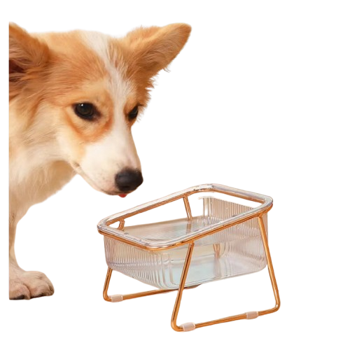 Transparent Cat Bowl, High Foot, Oblique Neck, Easy to Clean