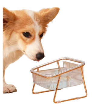 Transparent Cat Bowl, High Foot, Oblique Neck, Easy to Clean