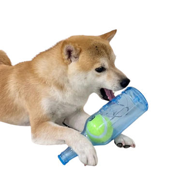 Pet Chew Toy TPR Bite-Resistant Beer Bottle with Tennis Ball
