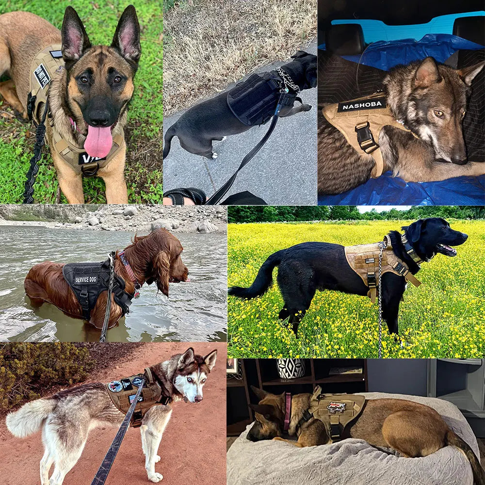 Tactical Dog Harness Leash Collar Set for Large Dogs