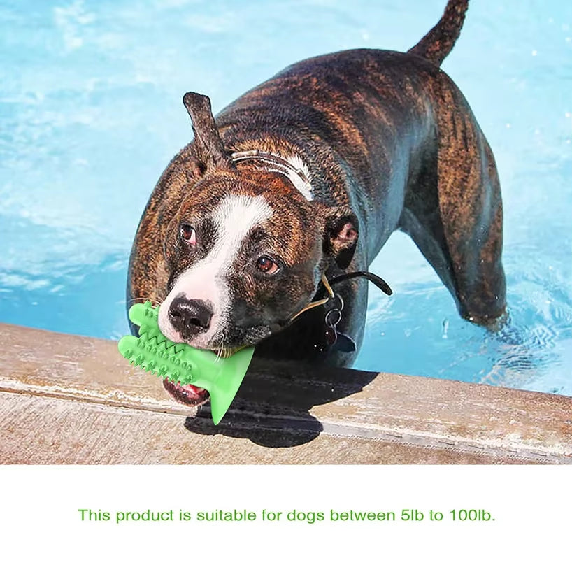 Dog Toys Squeaky, Chew, Toothbrush, Pet Accessories