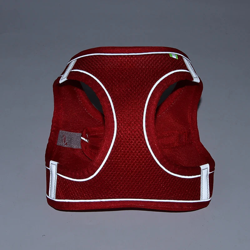 Dog Harness Leash Set for Small Pets – Adjustable Vest
