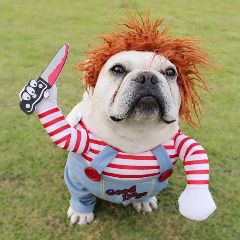 Halloween Dog Costume – Funny Scary Pet Cosplay Outfit