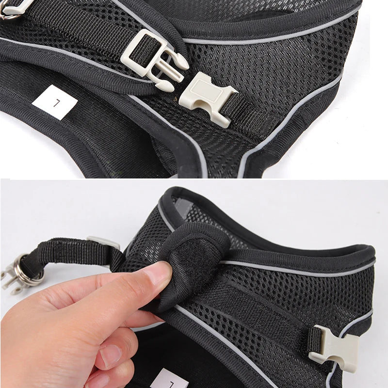 Dog Harness Leash Set for Small Pets – Adjustable Vest