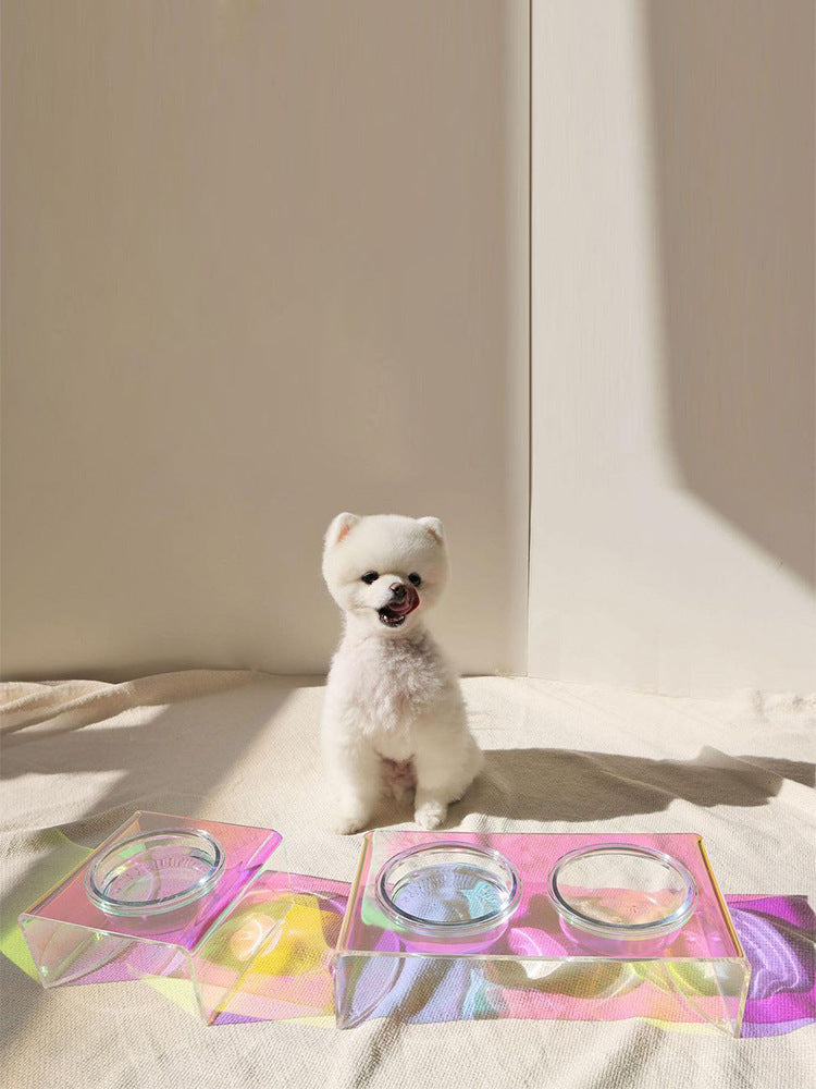 Dazzling Acrylic Pet Bowl – Iridescent Food & Water Basin