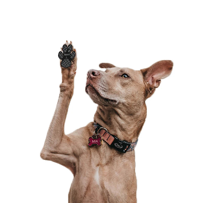 4-Pack Anti-Slip Dog Paw Grips with Strong Adhesive for Floors