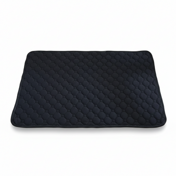 Reusable Absorbent Dog Pee Pad Blanket for Puppy Training