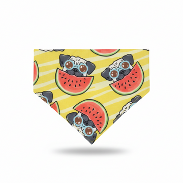 Cute Pet Bib Towel Collar for Small Dogs & Cats