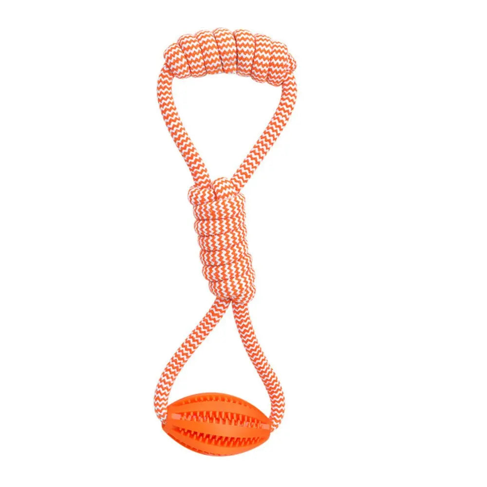 Dental Teething Training Toy