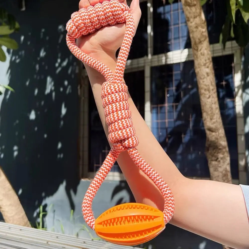Dental Teething Training Toy