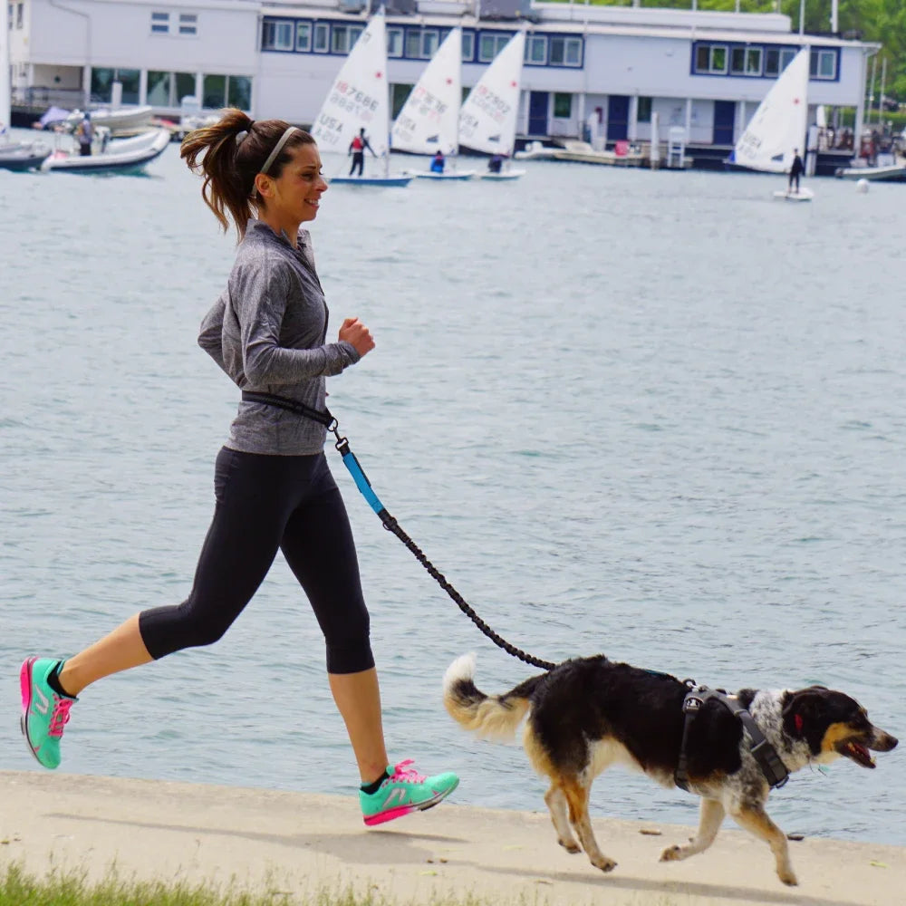 Hands-Free Adjustable Dog Leash Belt for Walking & Running