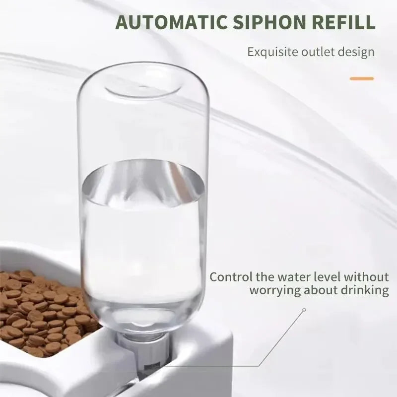 Automatic Pet Feeder and Water Fountain