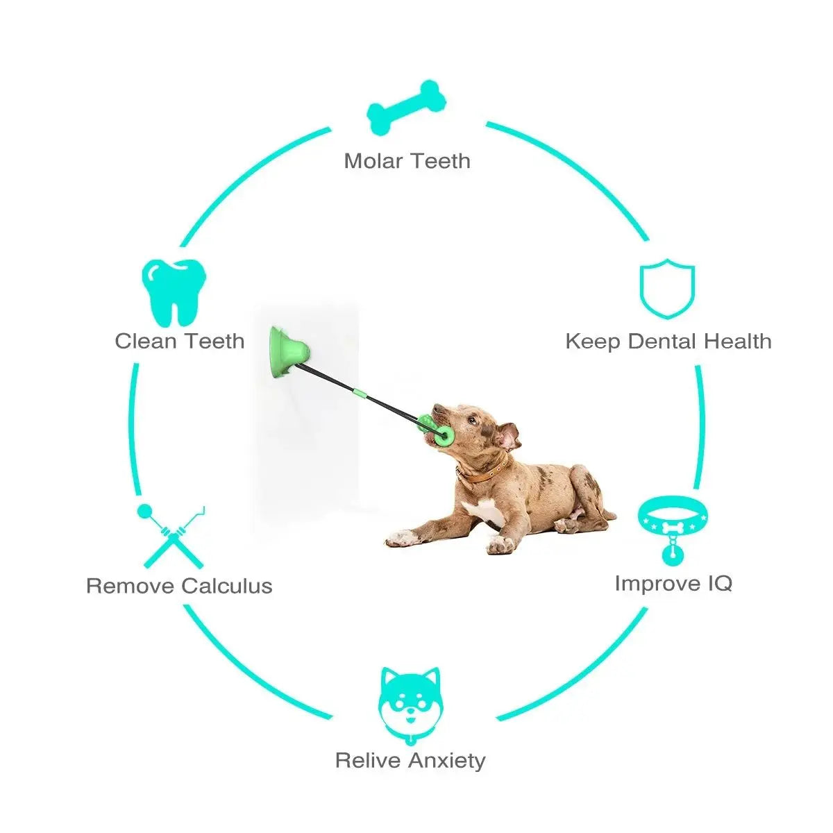 Dog Pacifier Toy