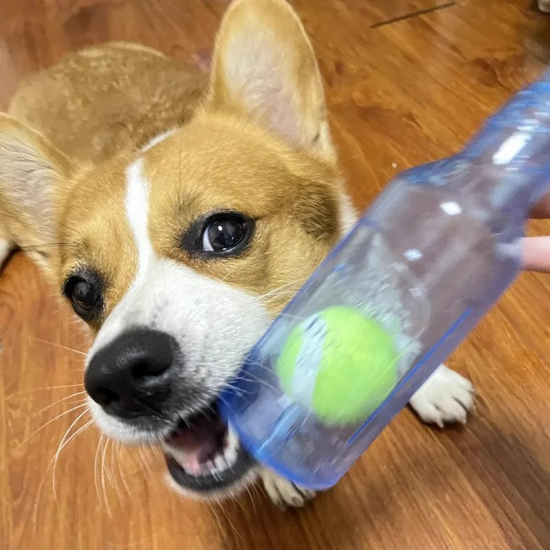 Pet Chew Toy TPR Bite-Resistant Beer Bottle with Tennis Ball