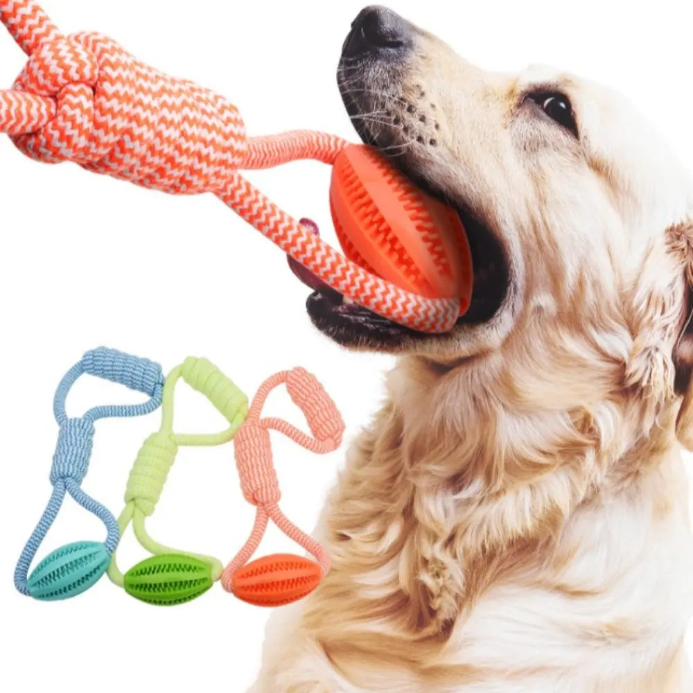 Dental Teething Training Toy
