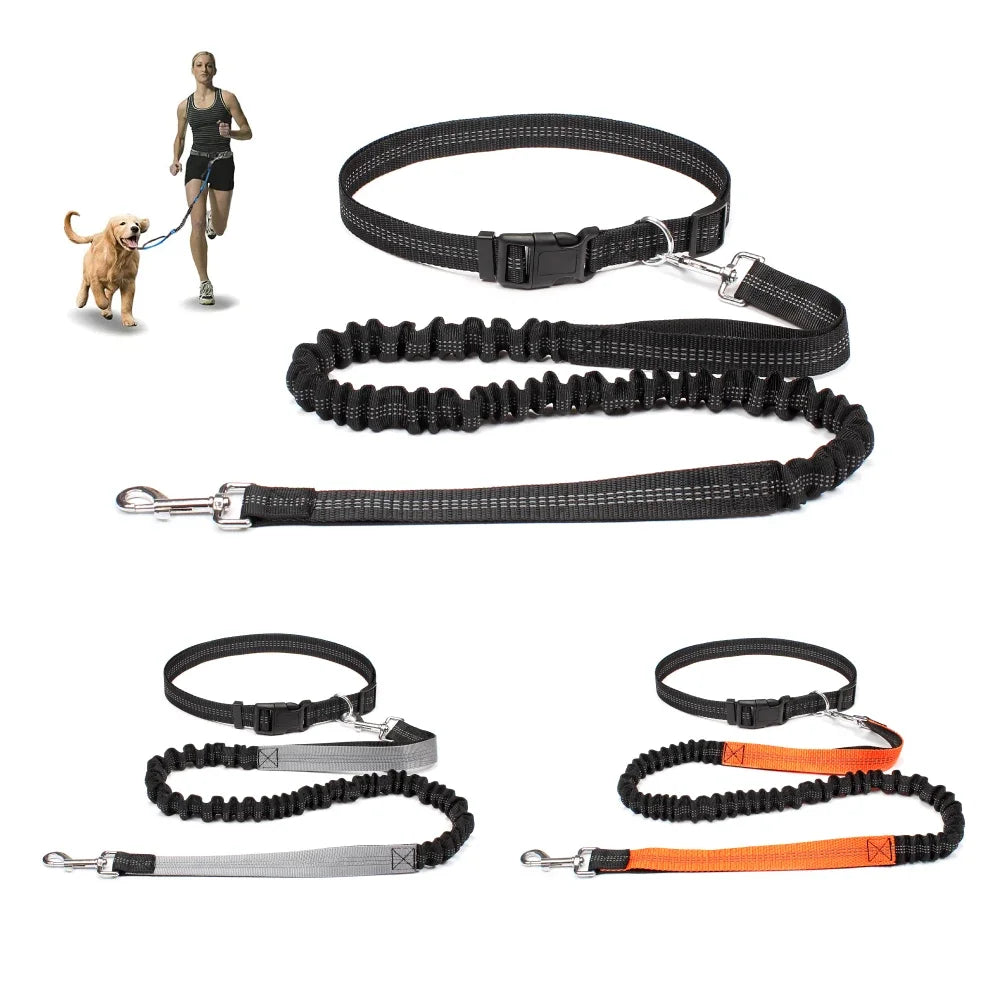 Hands-Free Adjustable Dog Leash Belt for Walking & Running