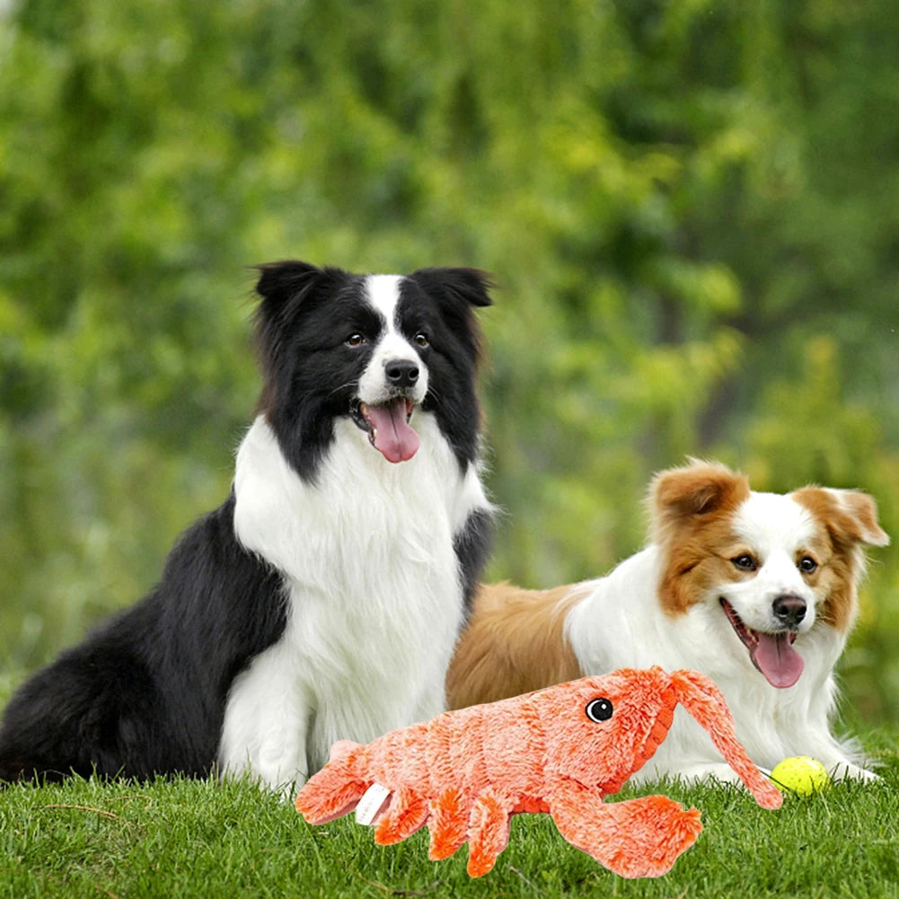 USB Jumping Lobster Cat Toy – Plush, Electric, Rechargeable