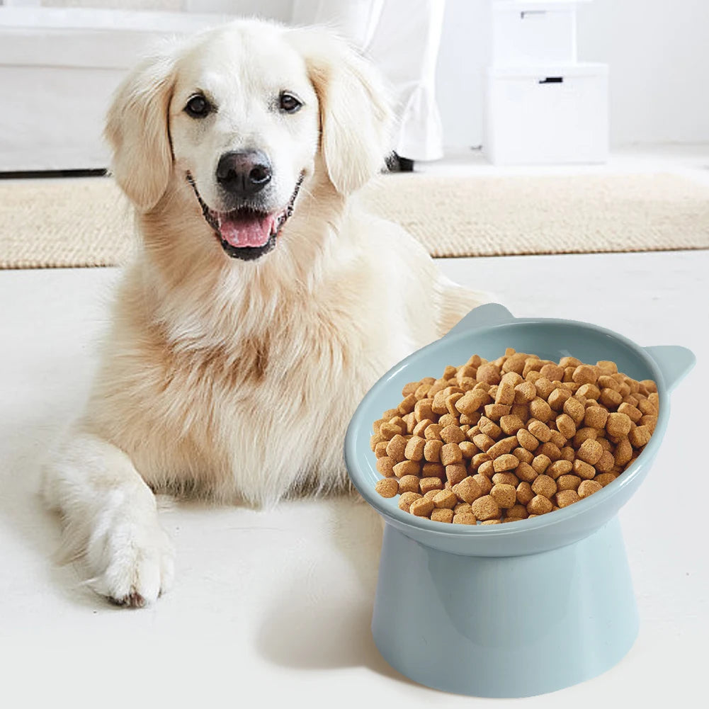 Elevated Tilted Cat Bowl – Anti-Vomit, Ergonomic Feeder