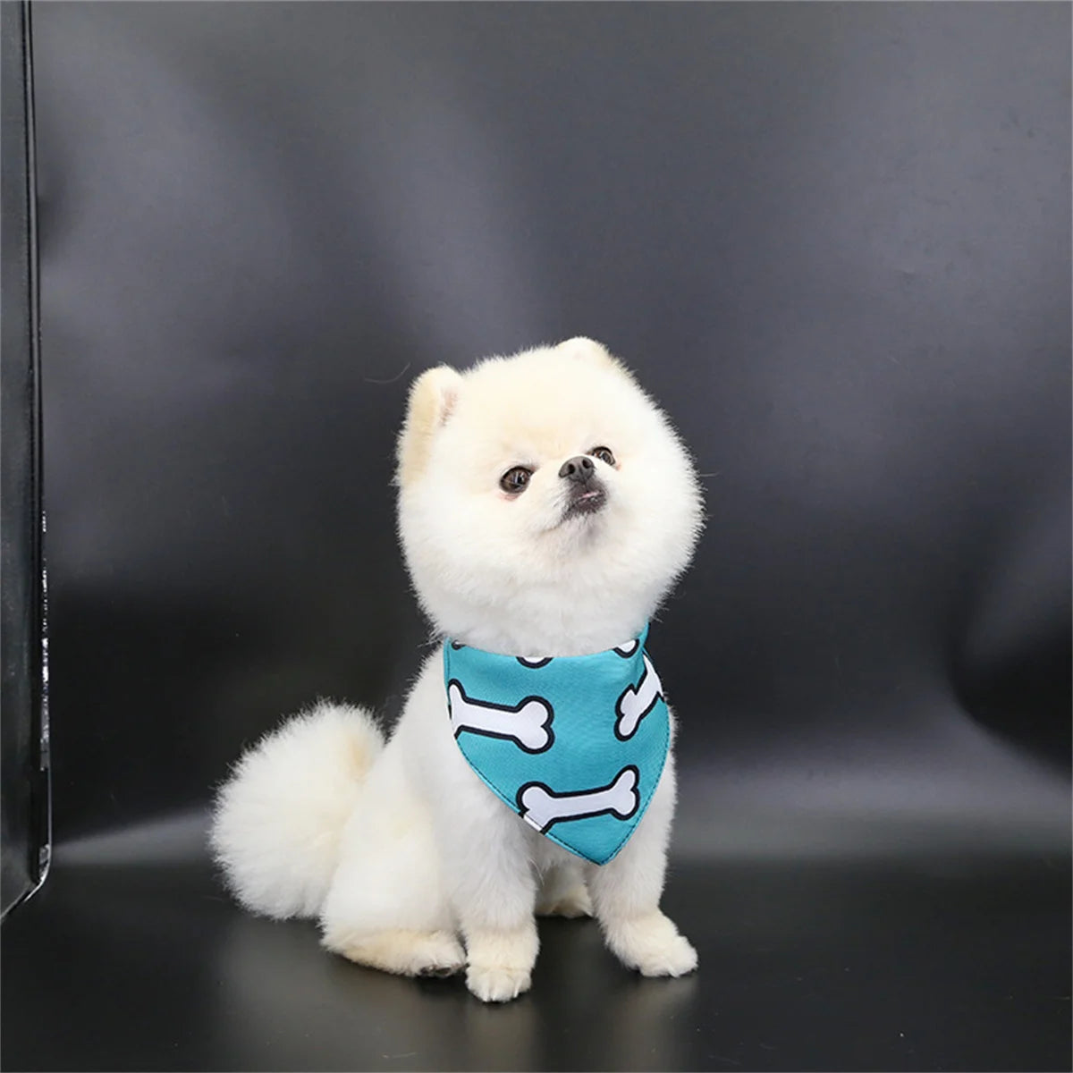 Cute Pet Bib Towel Collar for Small Dogs & Cats