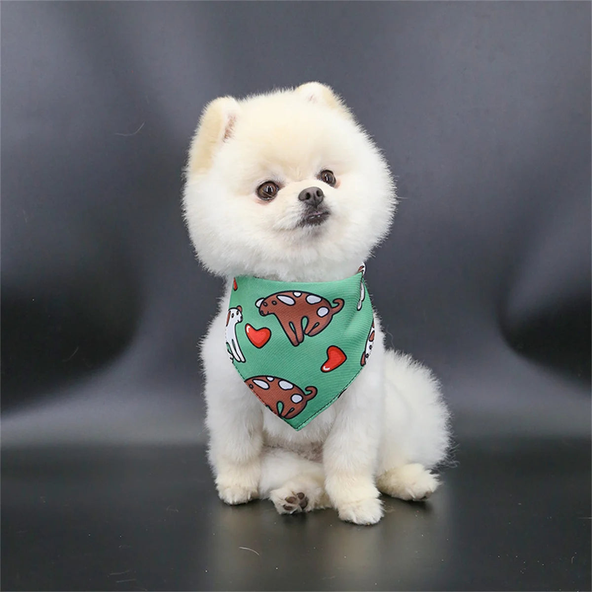 Cute Pet Bib Towel Collar for Small Dogs & Cats