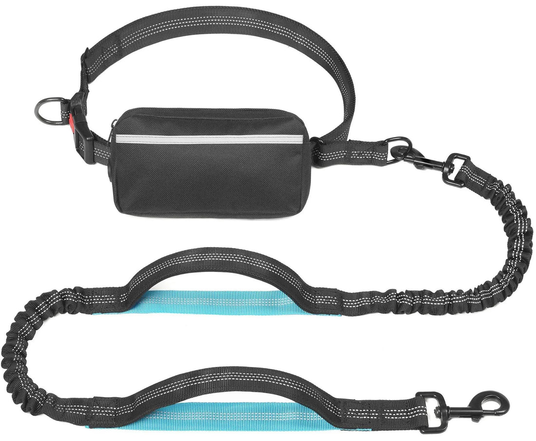 Hands-Free Retractable Leash with Pouch & Padded Handles