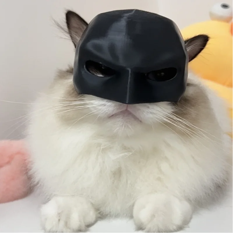 Black Bat Cat Mask - Cute Matte Bat Toy for Cats & Pets