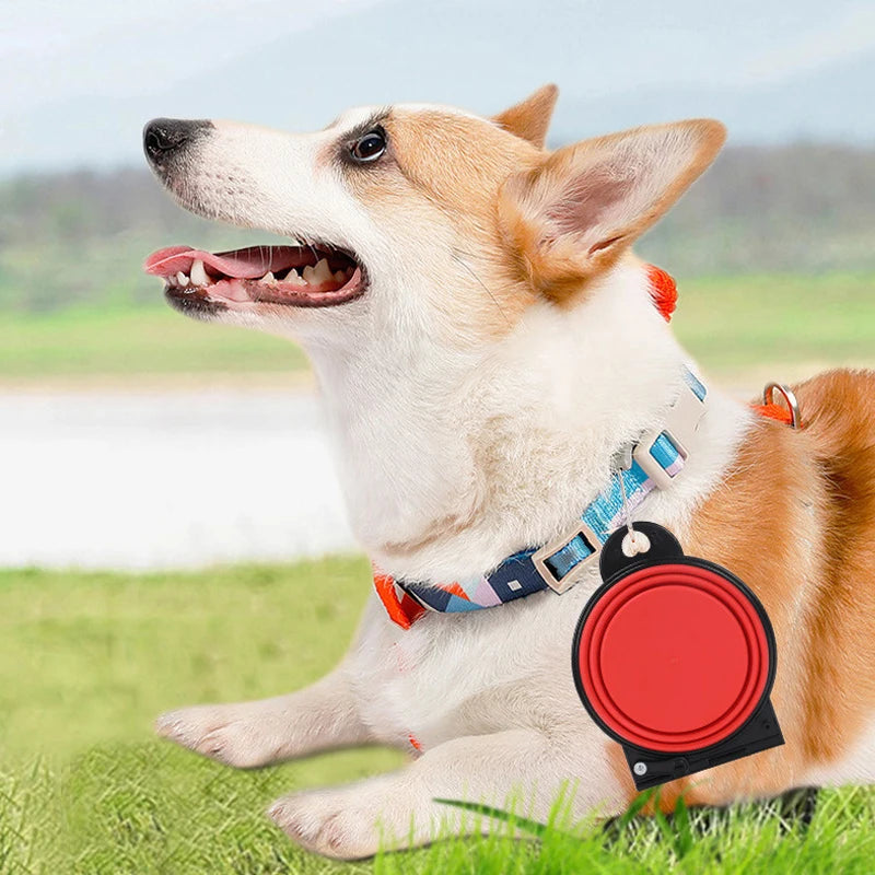 Collapsible Double Dog Bowl