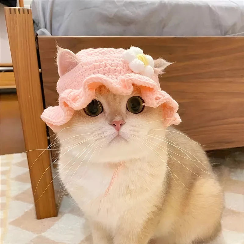 Handmade Cat Hat – Knit Pet Cap for Photo Shoots & Parties
