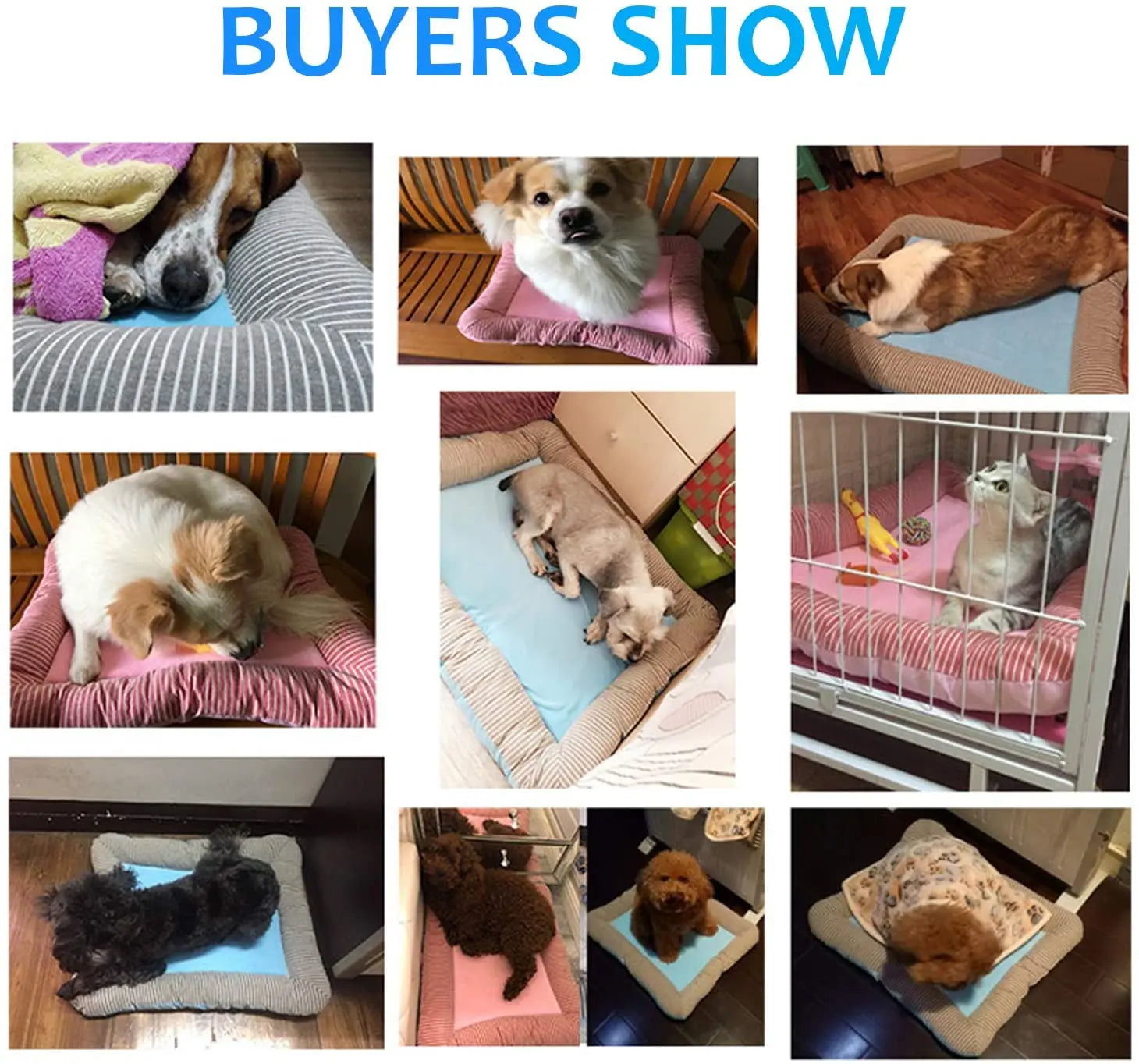 Pet Cooling Pad