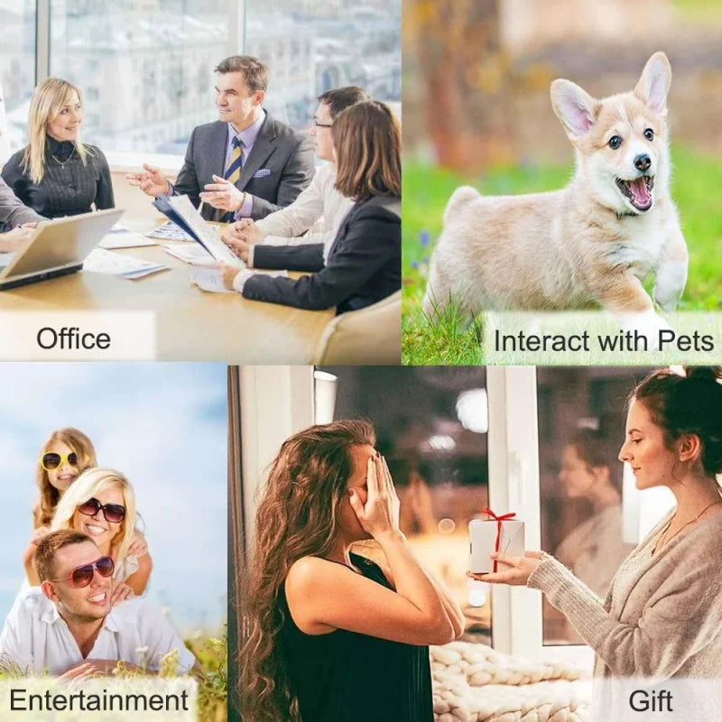 Dog Training Voice Button – 30s Recordable Pet Communication
