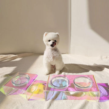 Dazzling Acrylic Pet Bowl – Iridescent Food & Water Basin