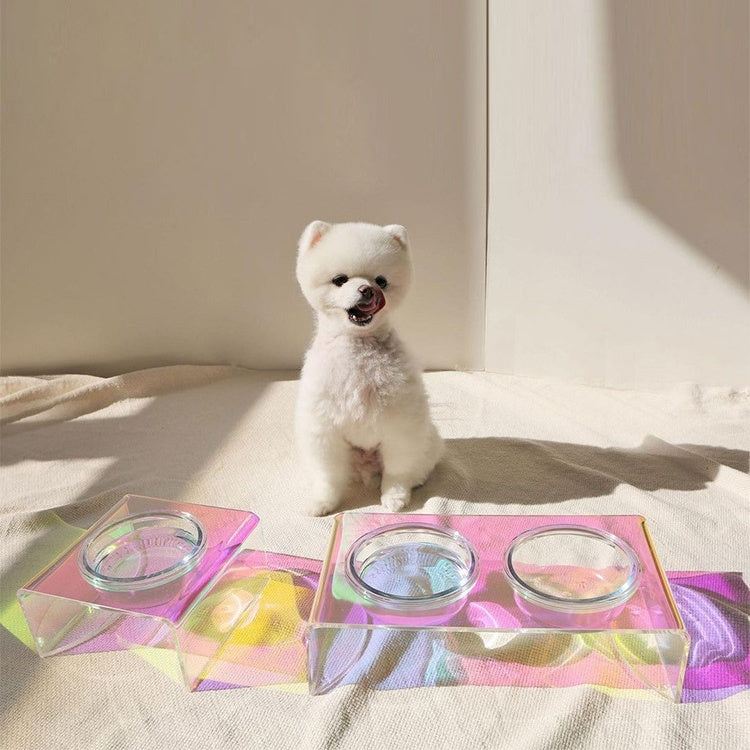 Dazzling Acrylic Pet Bowl – Iridescent Food & Water Basin