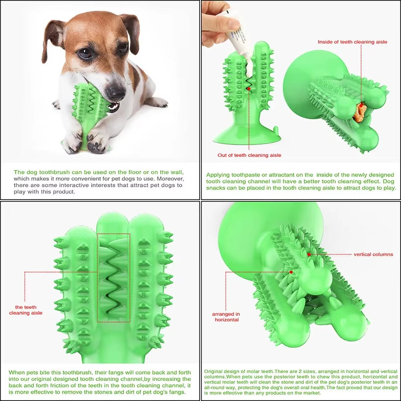 Dog Toys Squeaky, Chew, Toothbrush, Pet Accessories