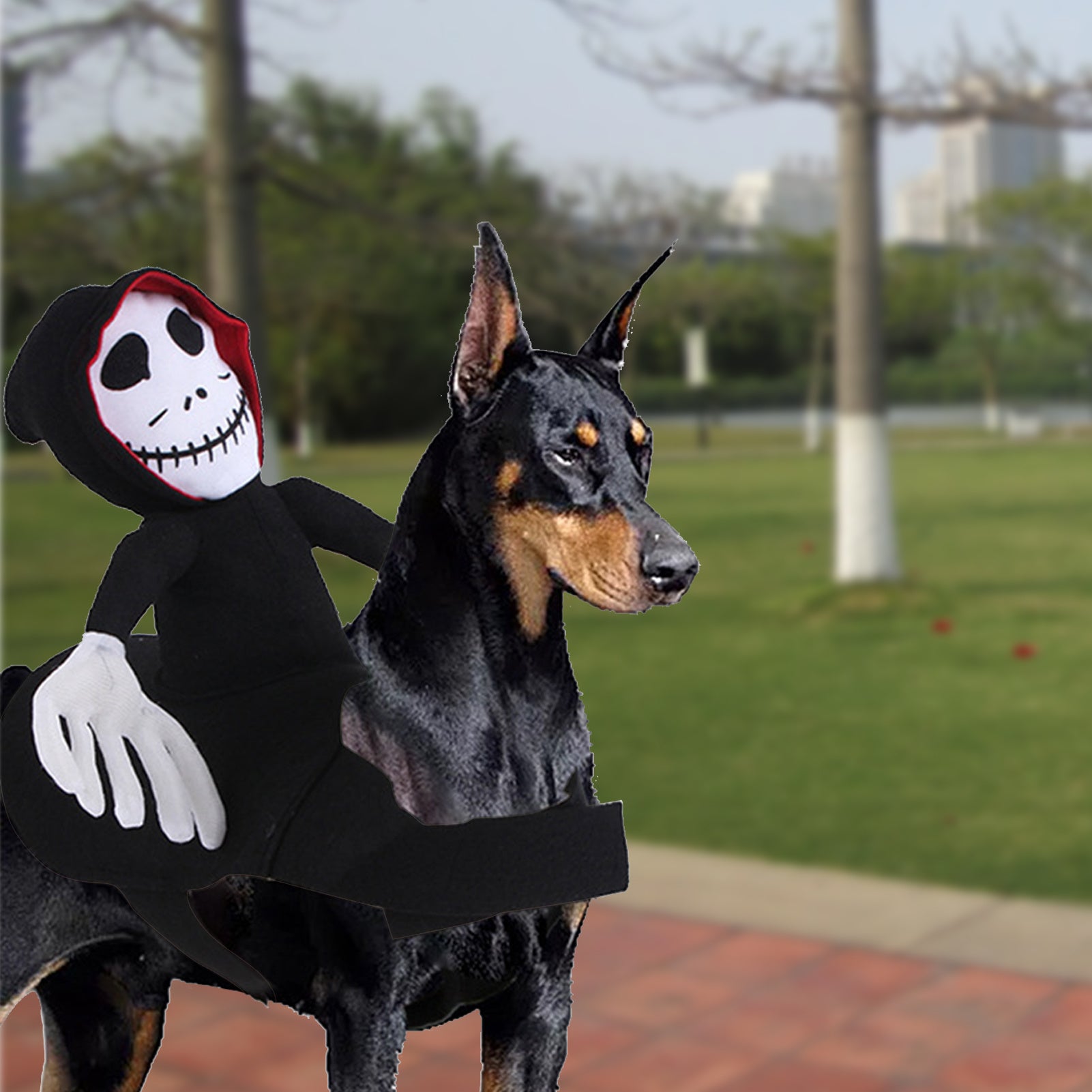 Funny Grim Reaper Pet Costume – Halloween Dog Cosplay Dress-Up