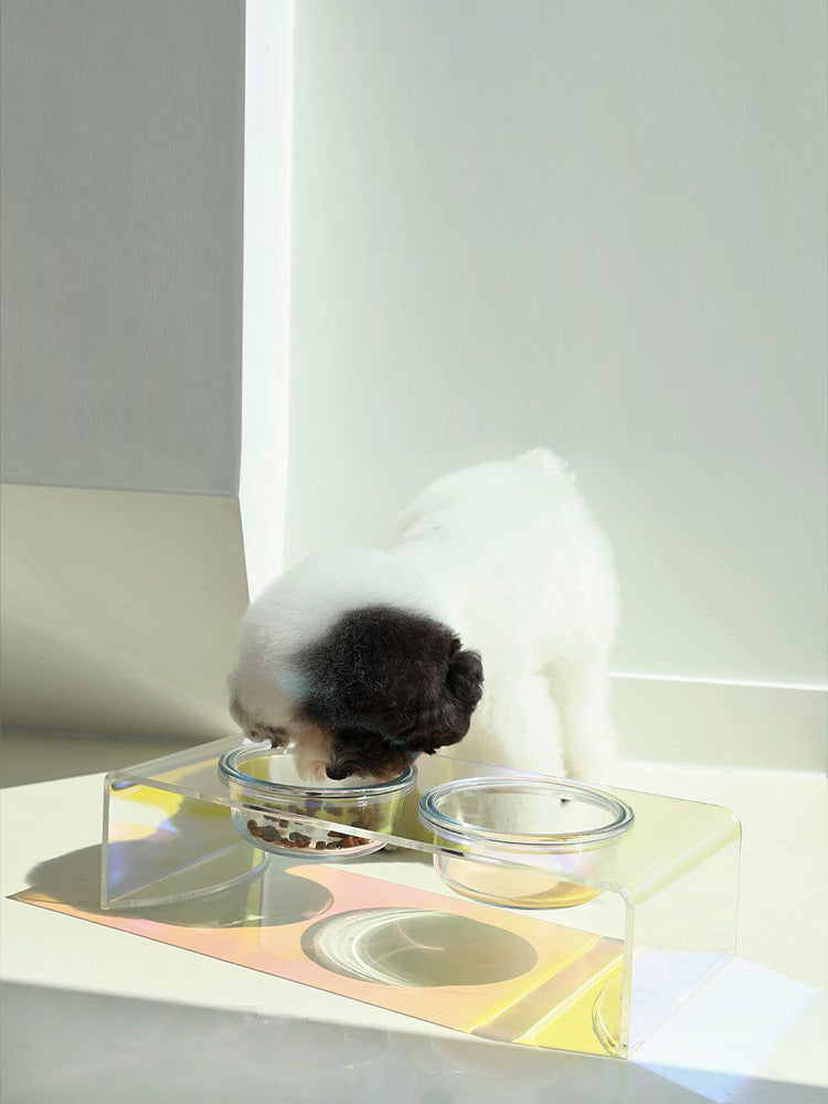 Dazzling Acrylic Pet Bowl – Iridescent Food & Water Basin