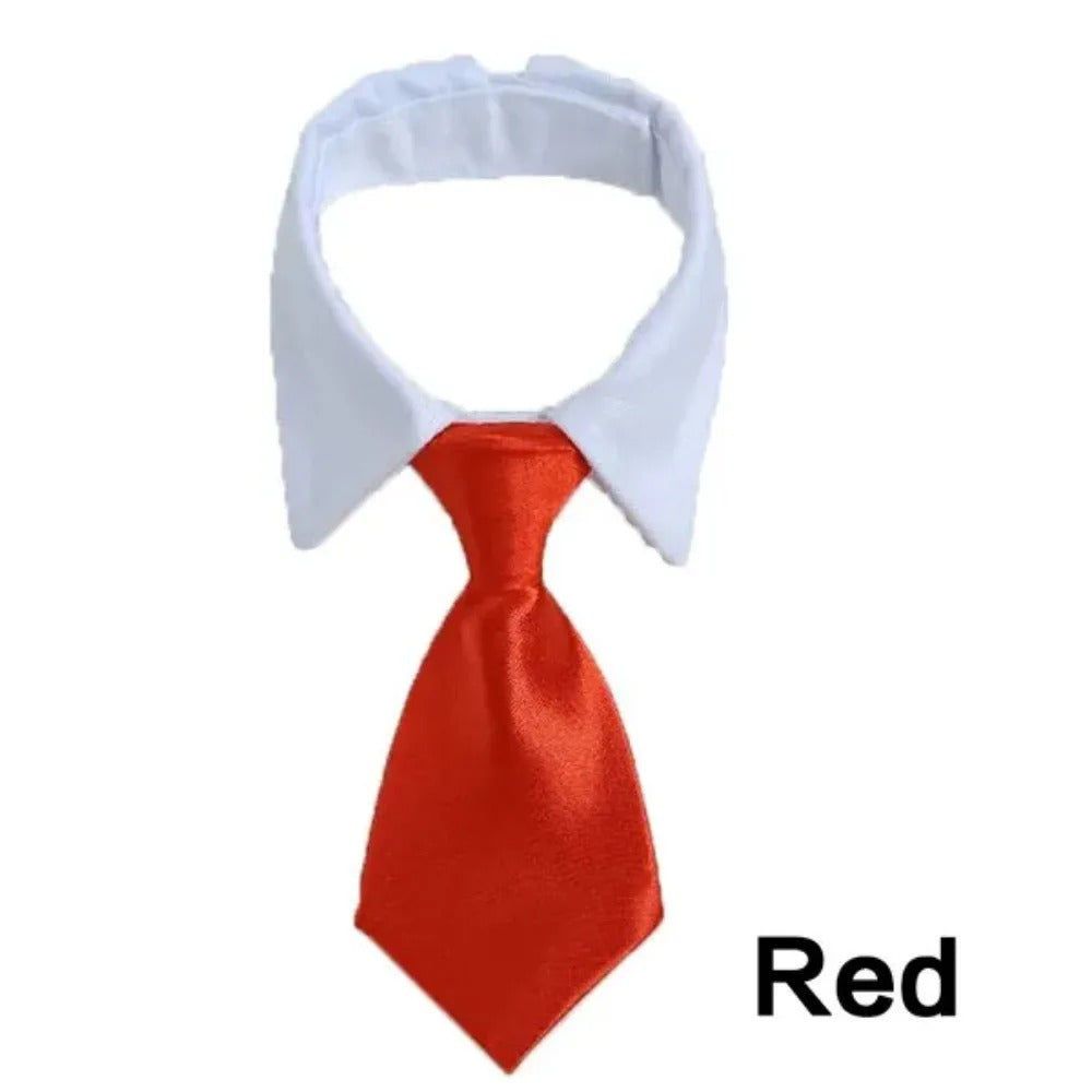 Adjustable Puppy Bow Tie Collar for Small Dogs & Cats