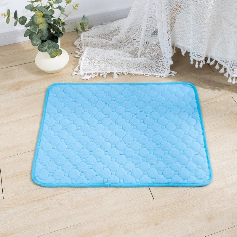 Reusable Absorbent Dog Pee Pad Blanket for Puppy Training