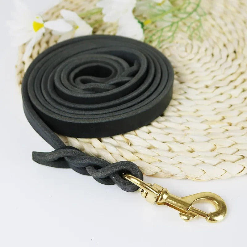 Genuine Leather Dog Leash – Braided Long Lead for Medium/Large