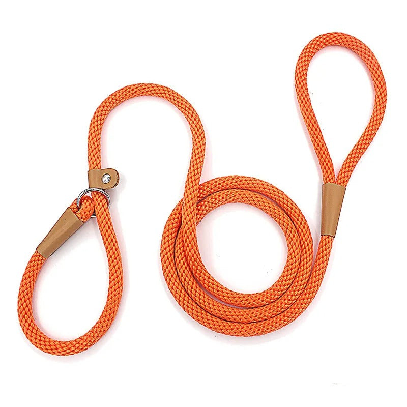 Adjustable No-Pull Nylon Slip Lead Leash for Medium & Large Dogs