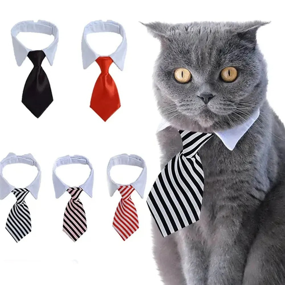 Adjustable Puppy Bow Tie Collar for Small Dogs & Cats