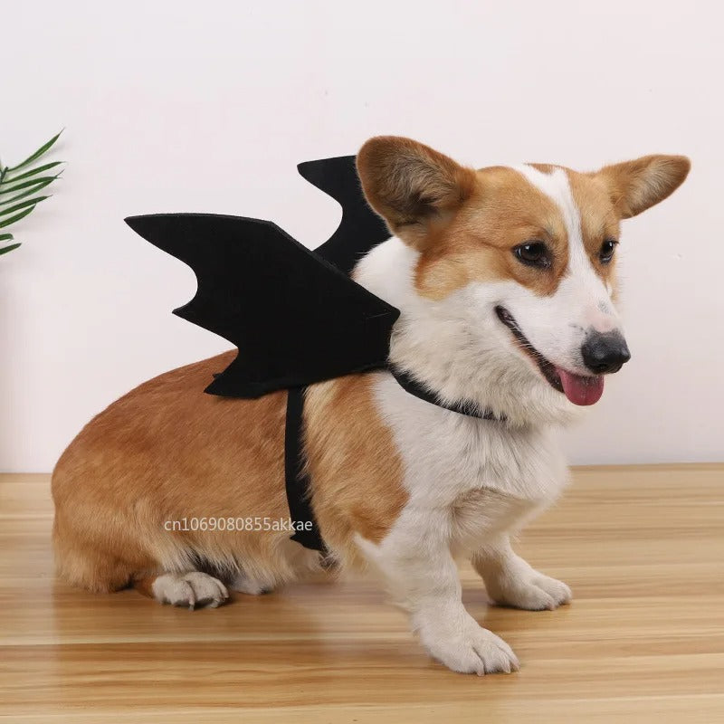 Halloween Bat Wings for Pets – Adjustable Felt Costume for Cats & Dogs