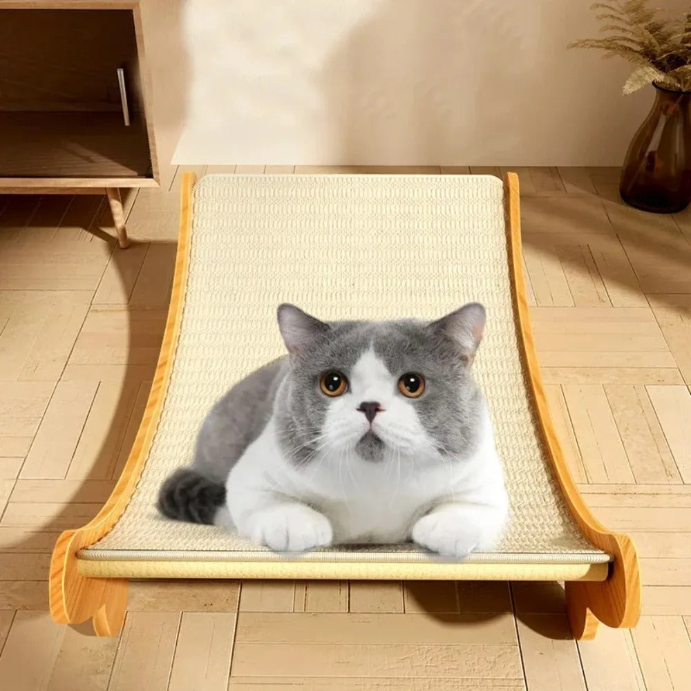 Cat Scratching Pad Bed – Wear-Resistant, Detachable Toy