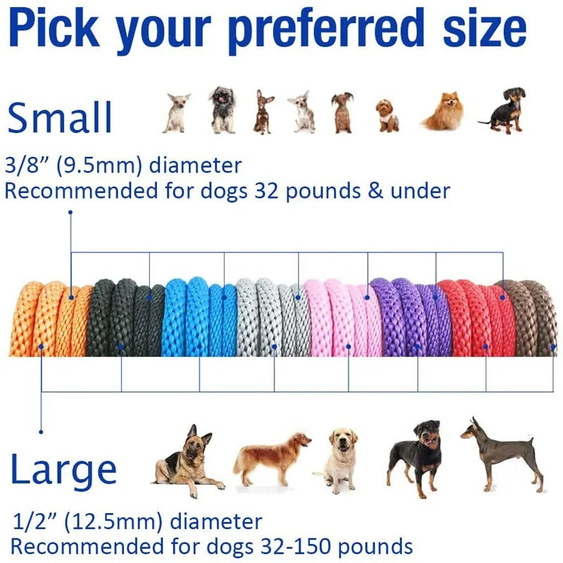 Adjustable No-Pull Nylon Slip Lead Leash for Medium & Large Dogs