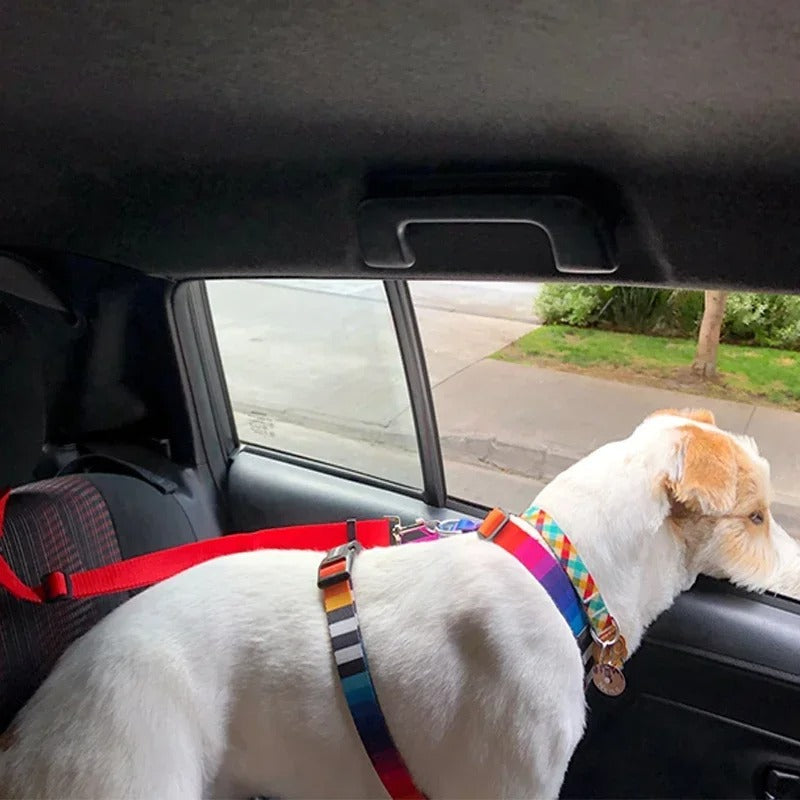 2-in-1 Dog Car Seat Belt & Leash – Adjustable Nylon Strap