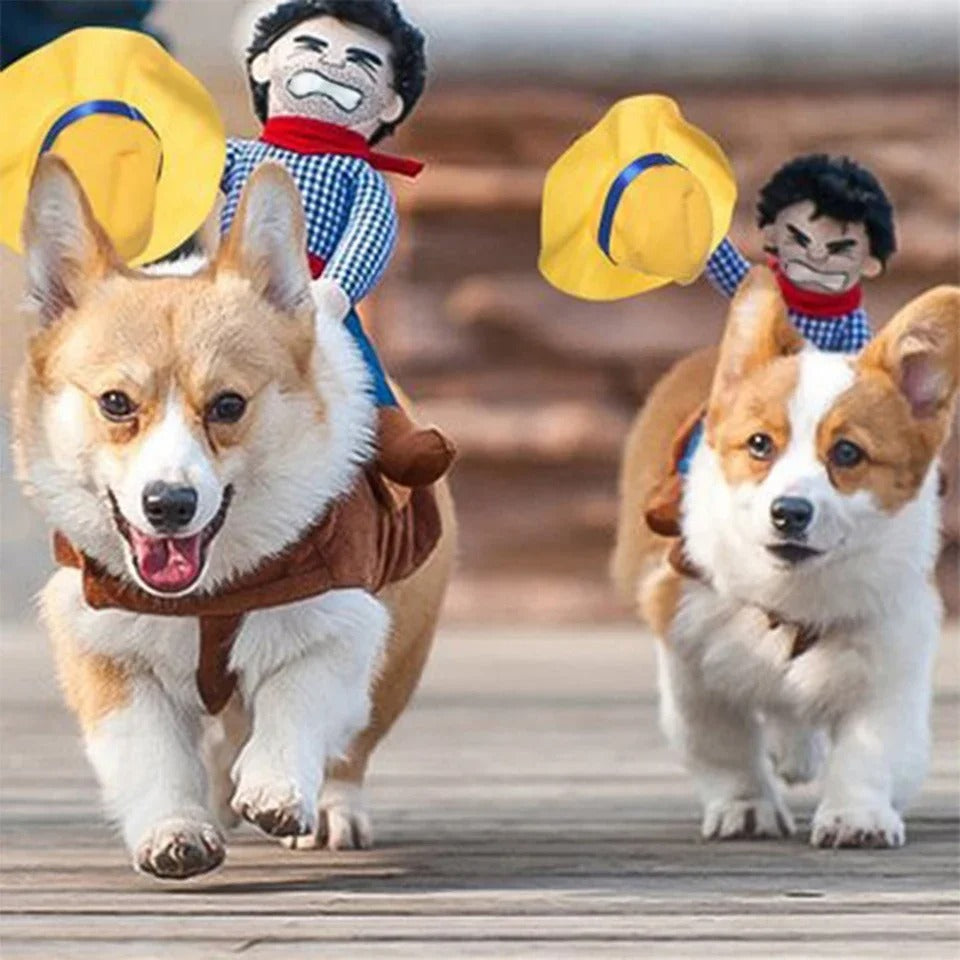 Dog Cowboy Costume – Funny Pet Jacket with Rider Design (S–XL)