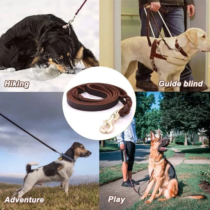 Genuine Leather Dog Leash – Braided Long Lead for Medium/Large