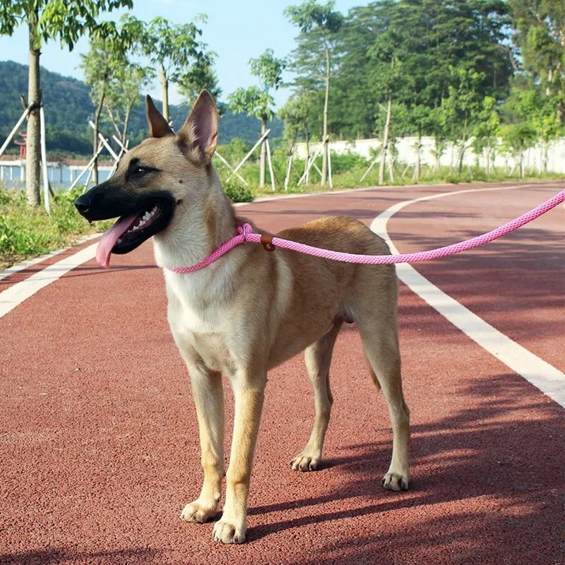 Adjustable No-Pull Nylon Slip Lead Leash for Medium & Large Dogs